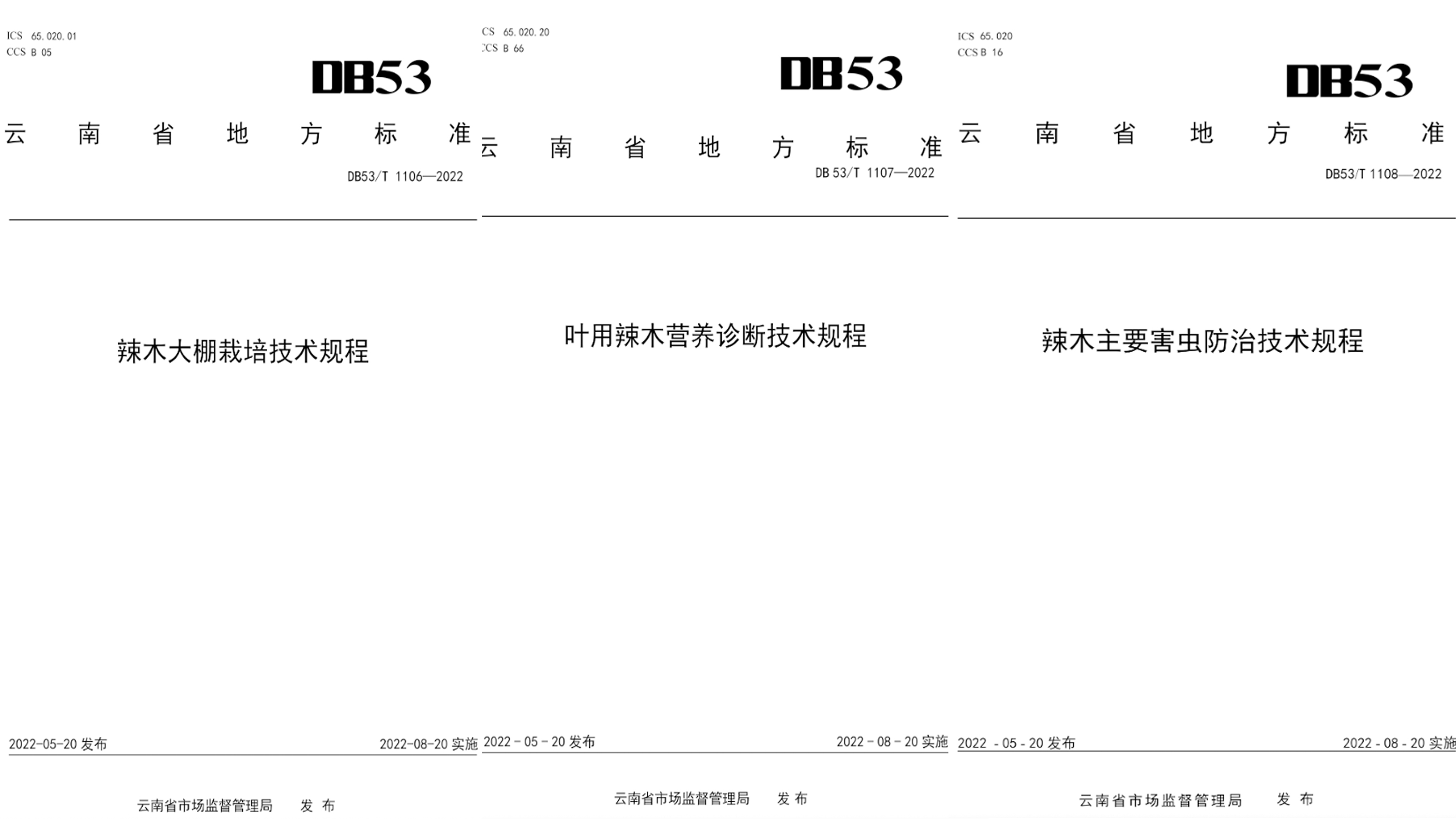 标准