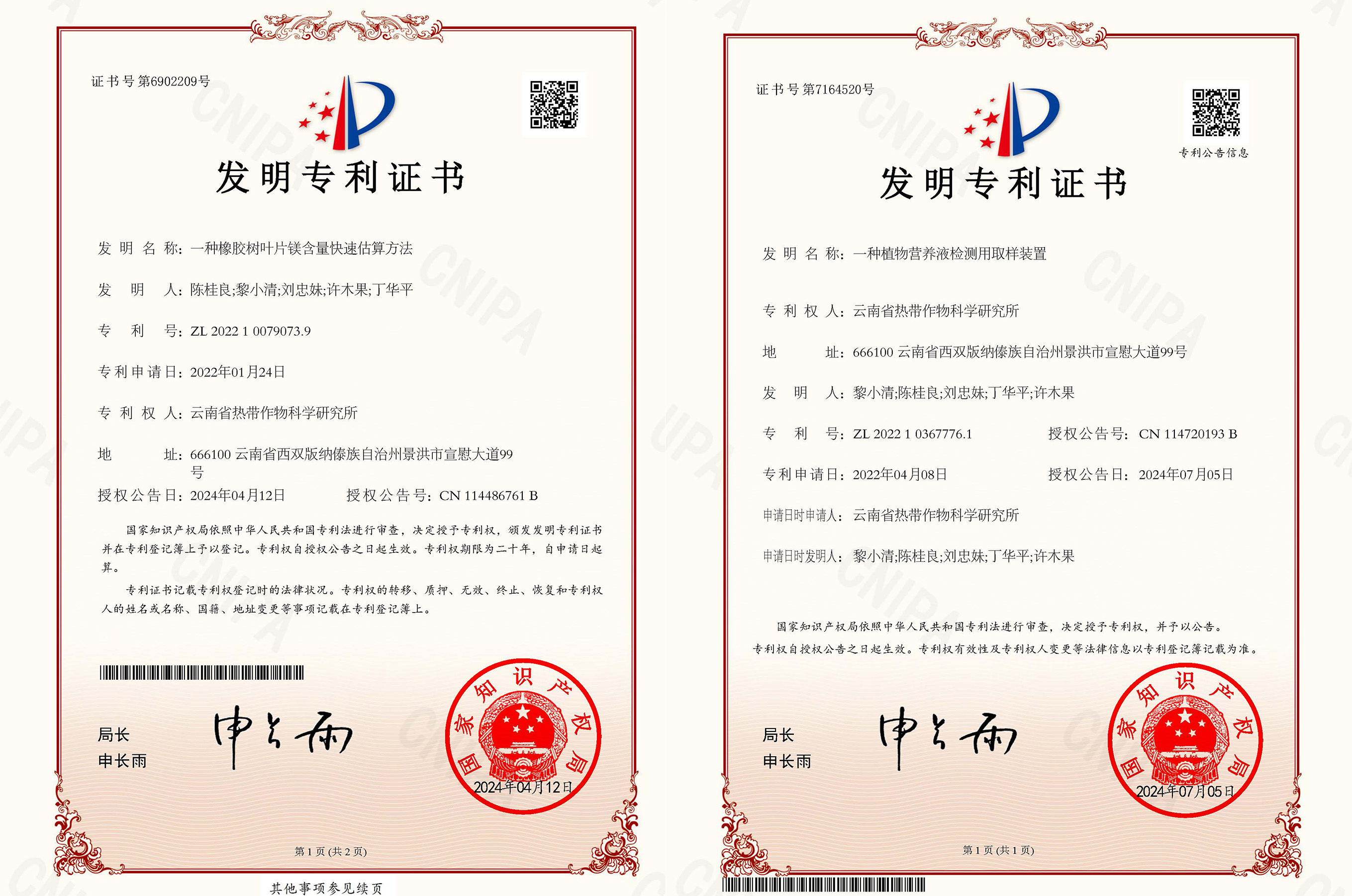 专利