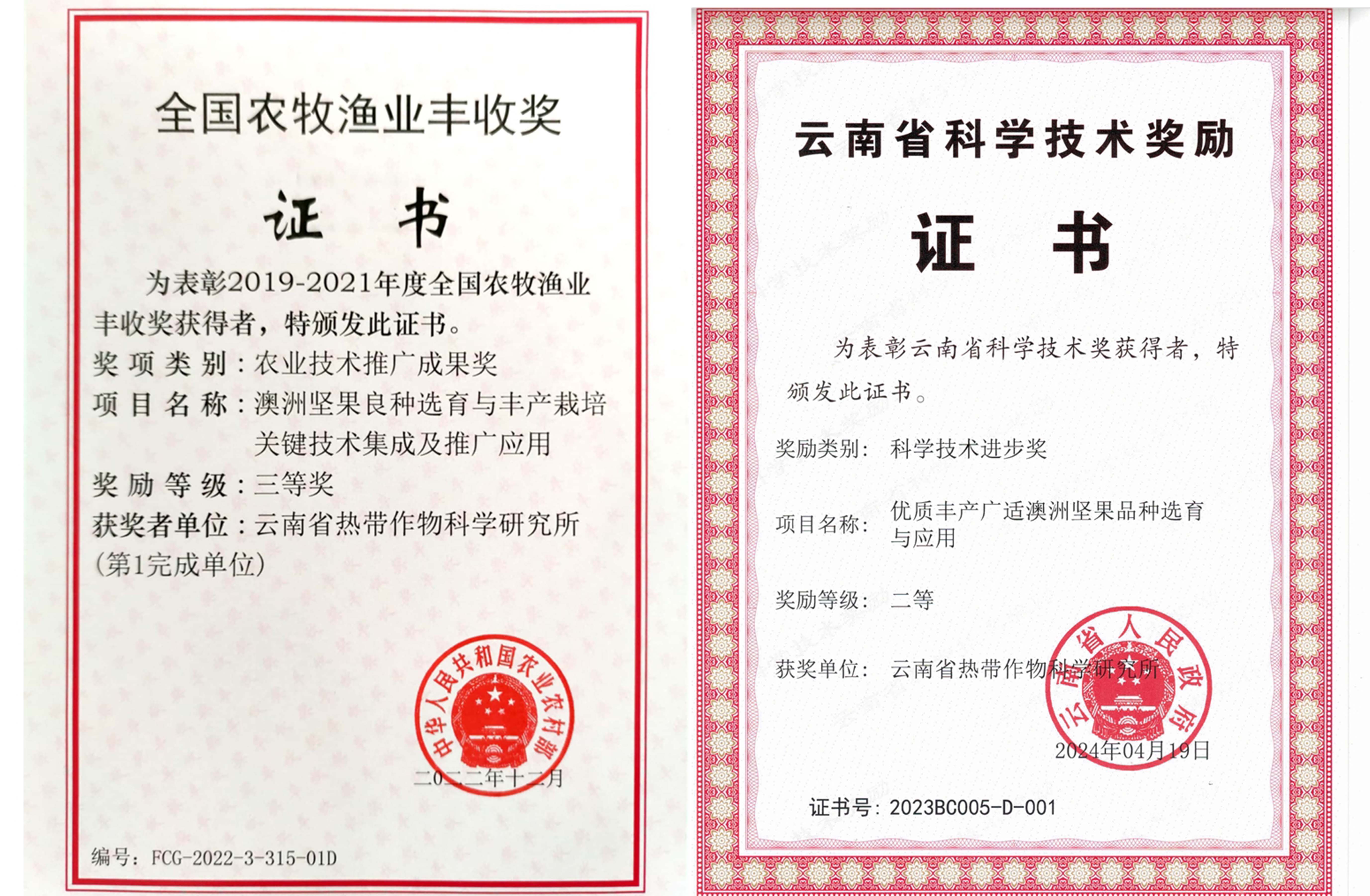 获奖
