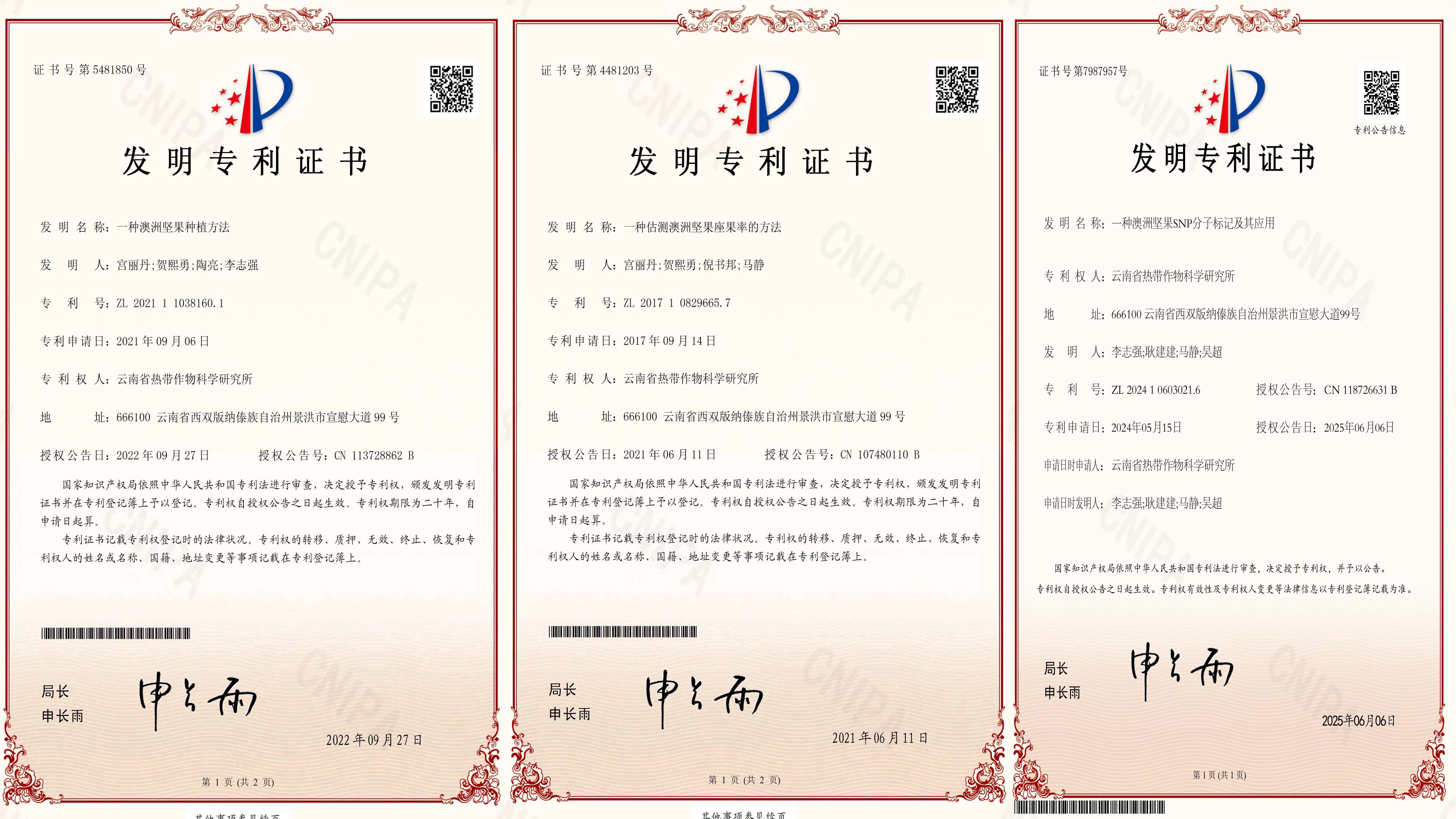 专利