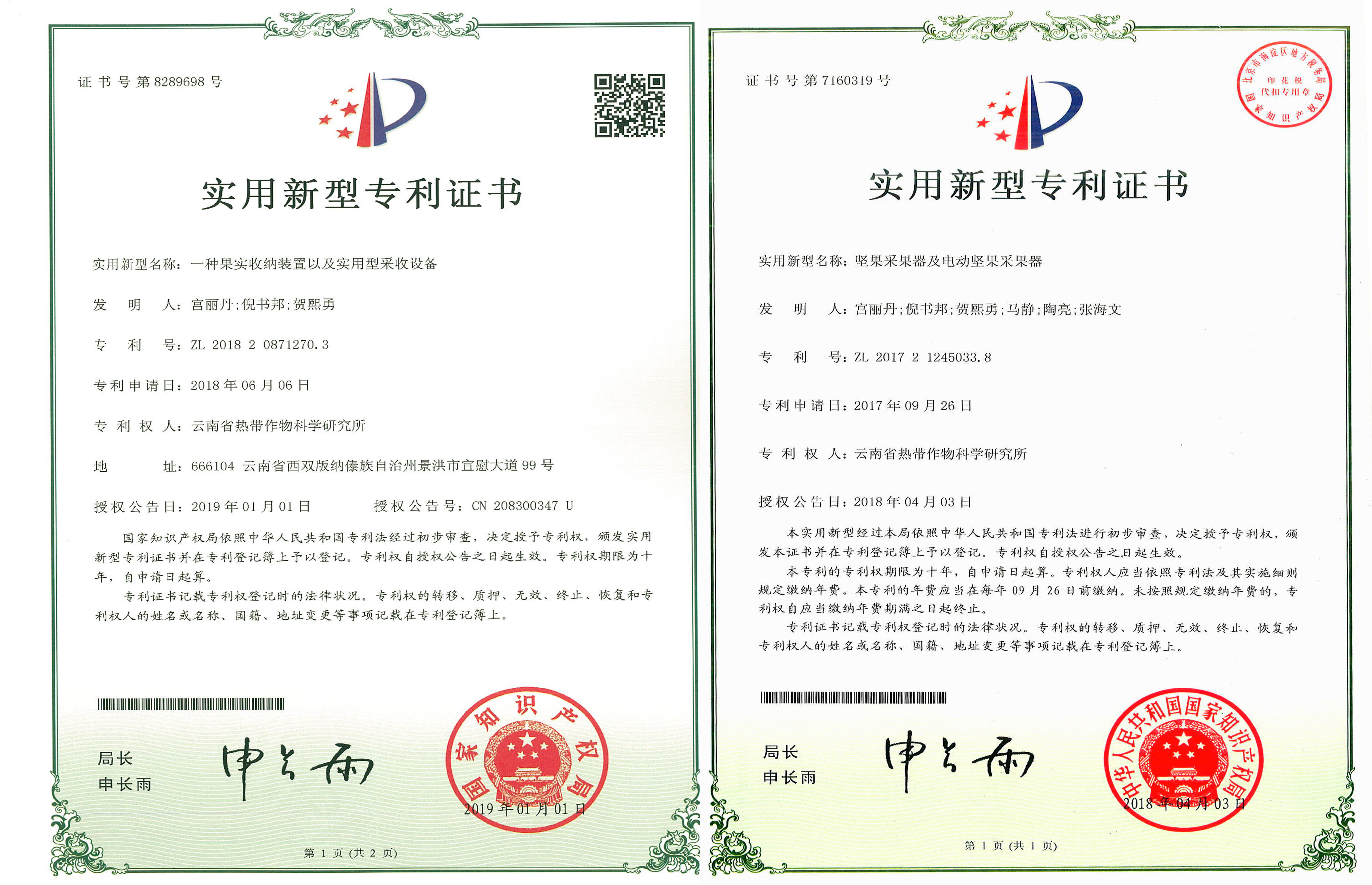 专利