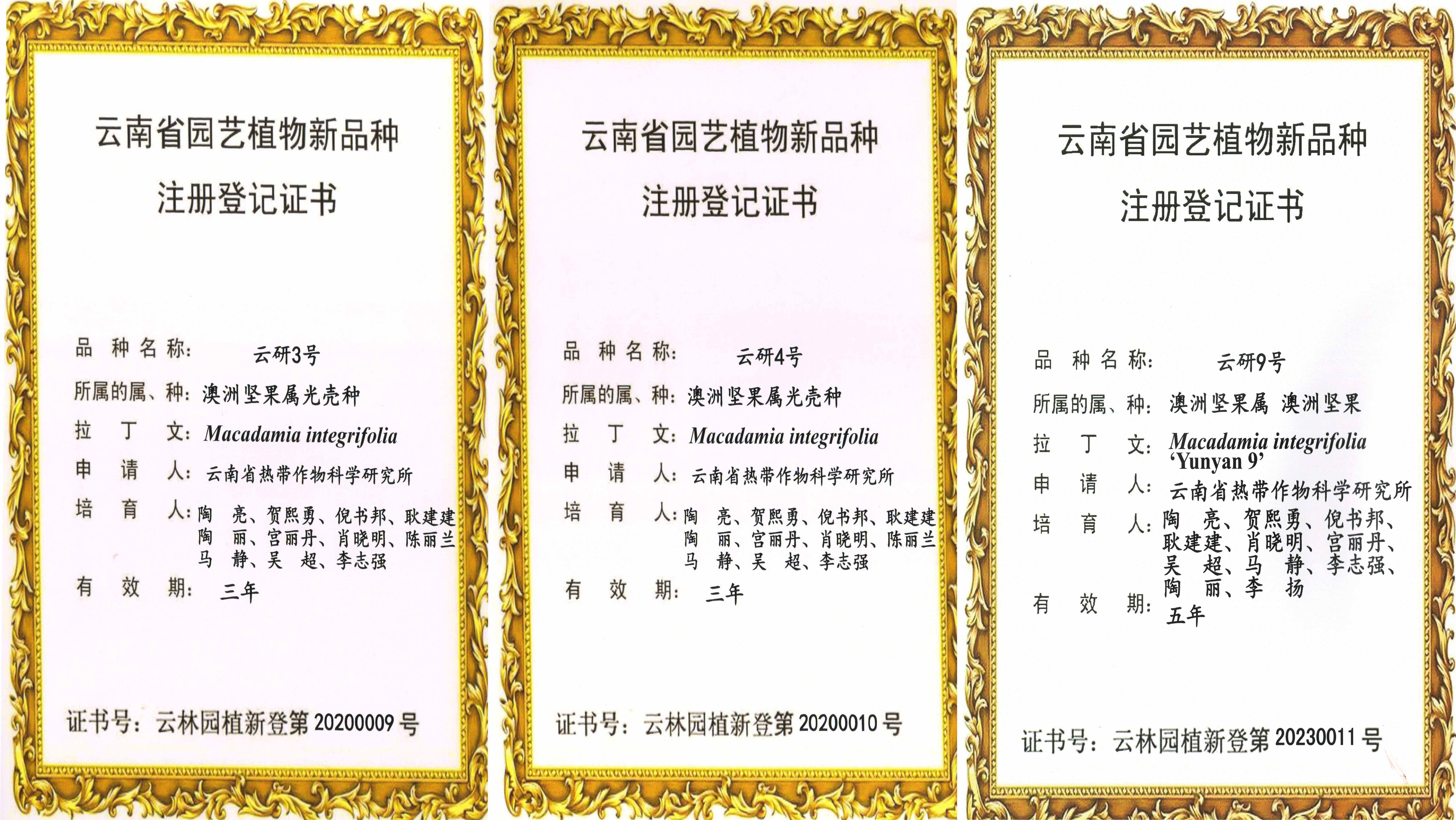 品种