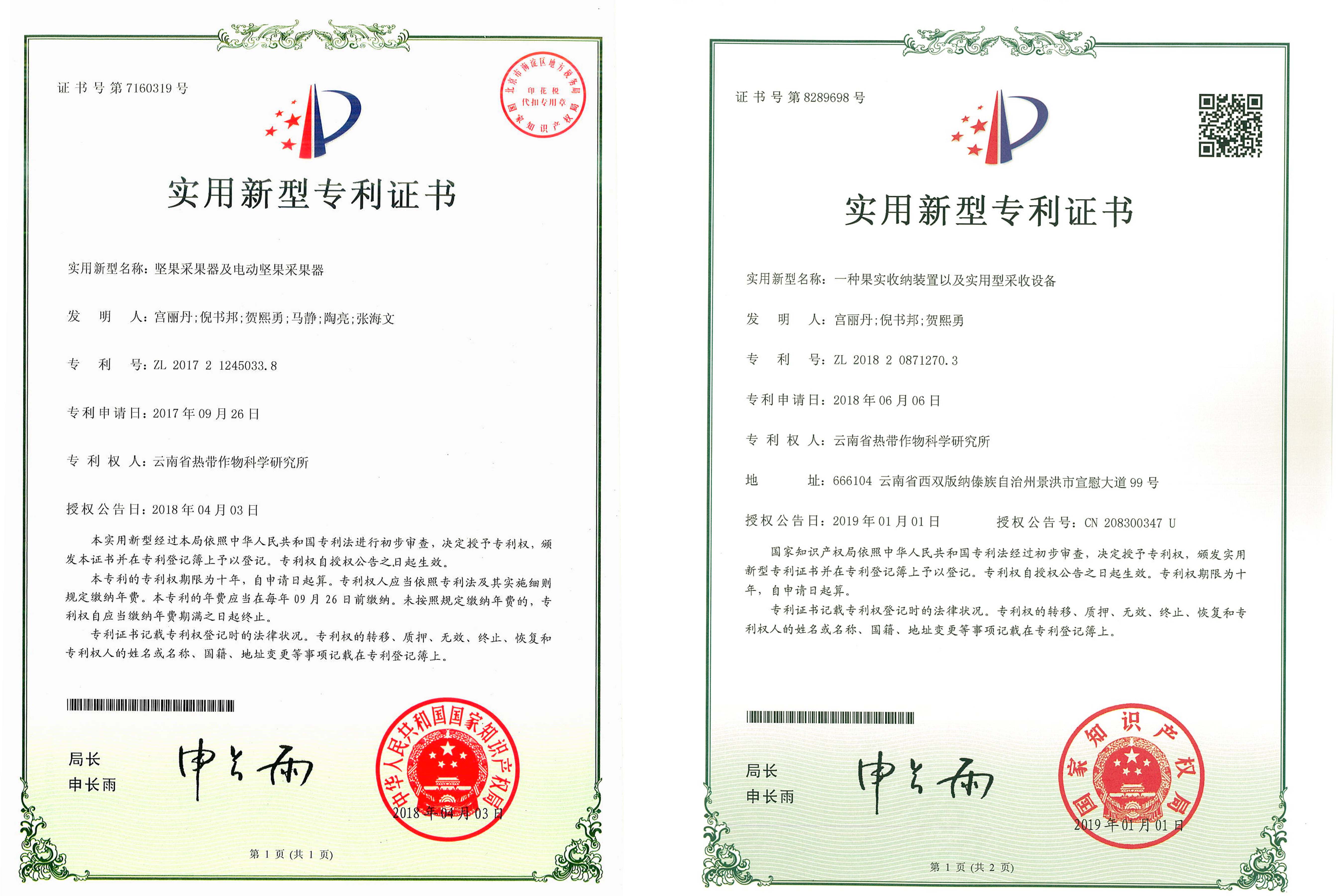 专利