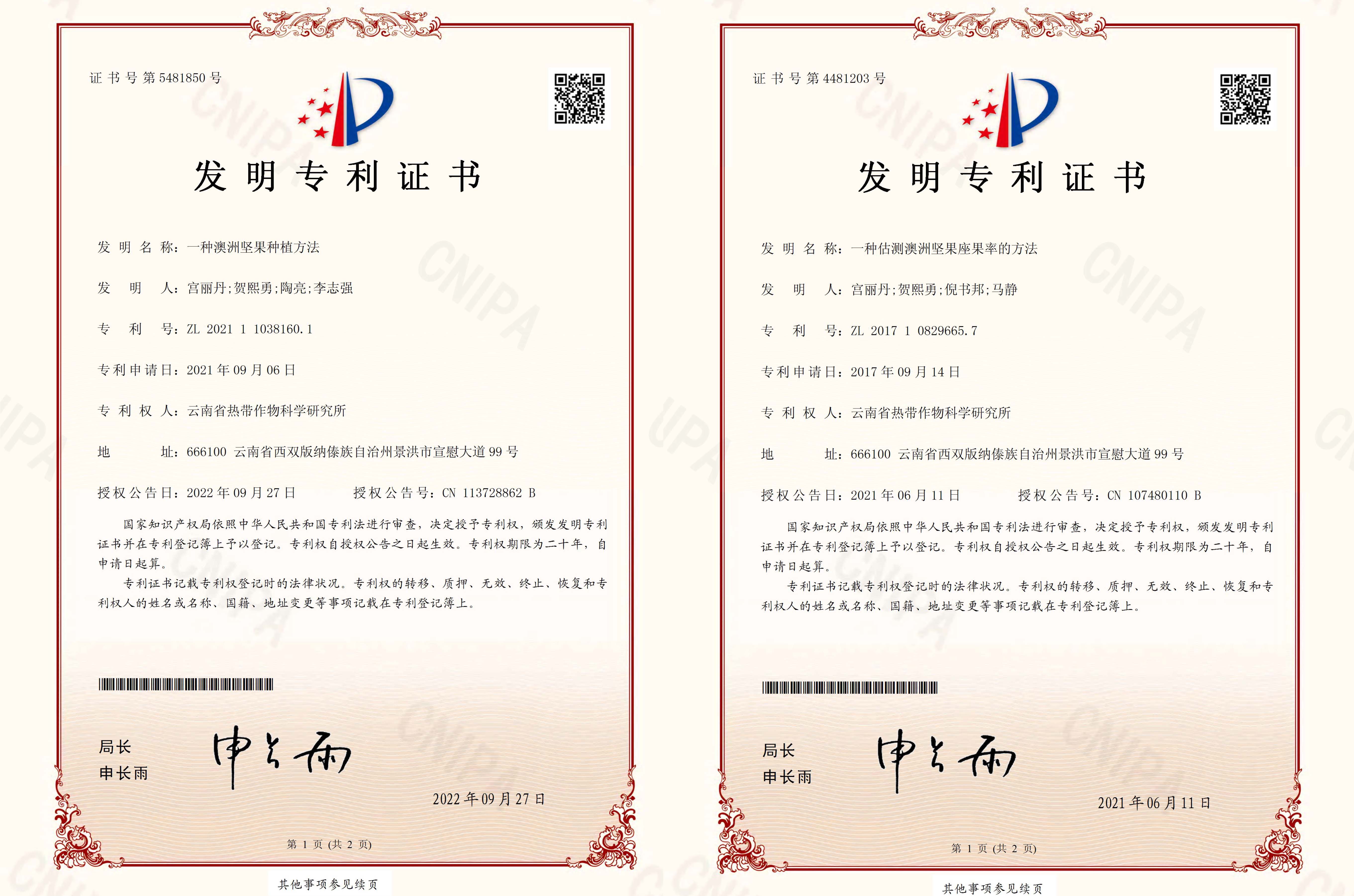专利