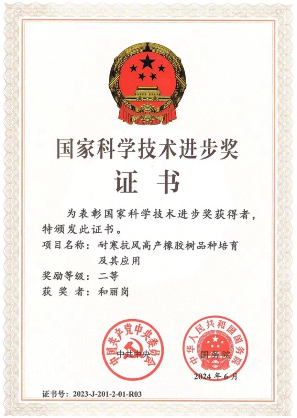 获奖