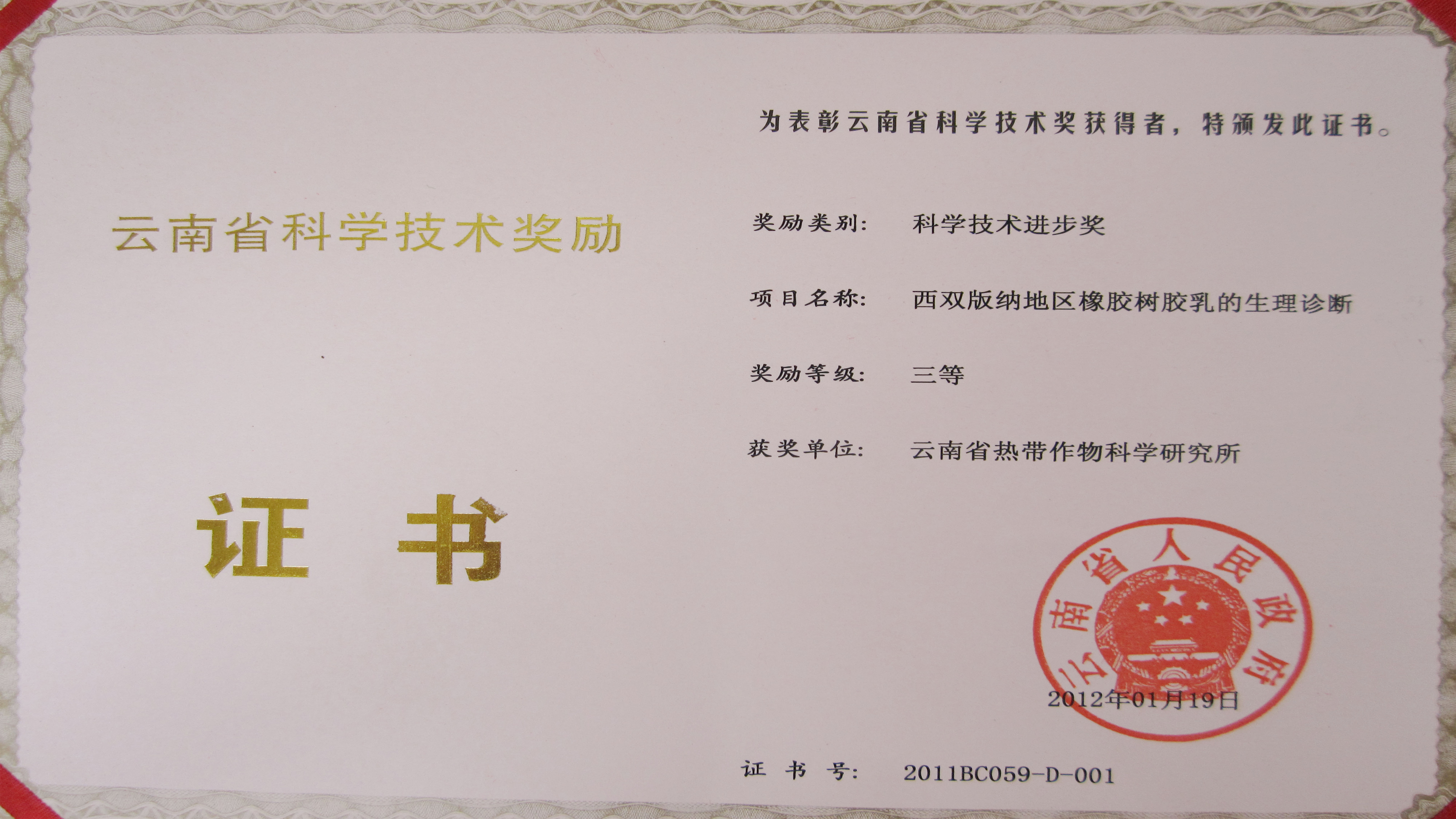 获奖