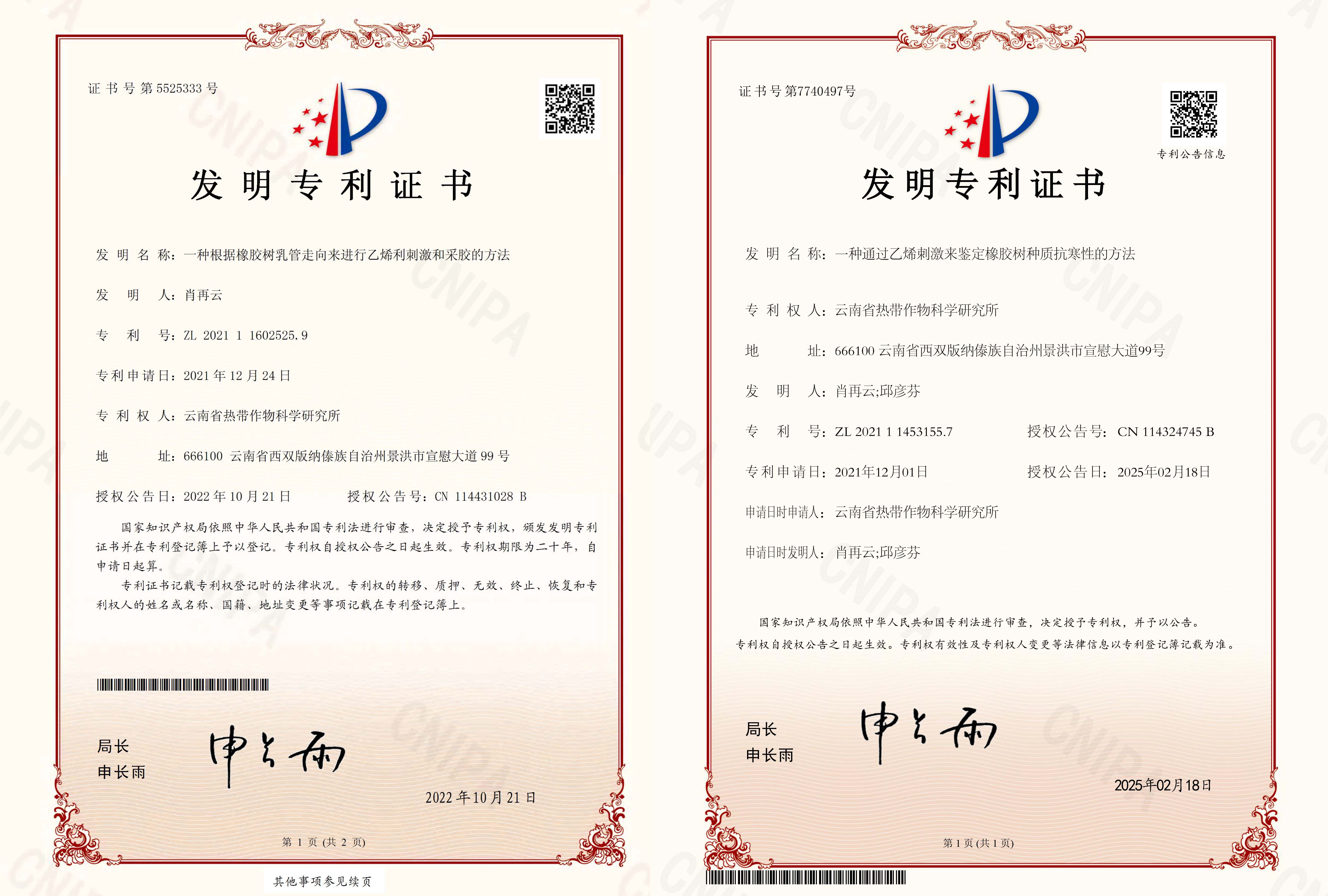 专利