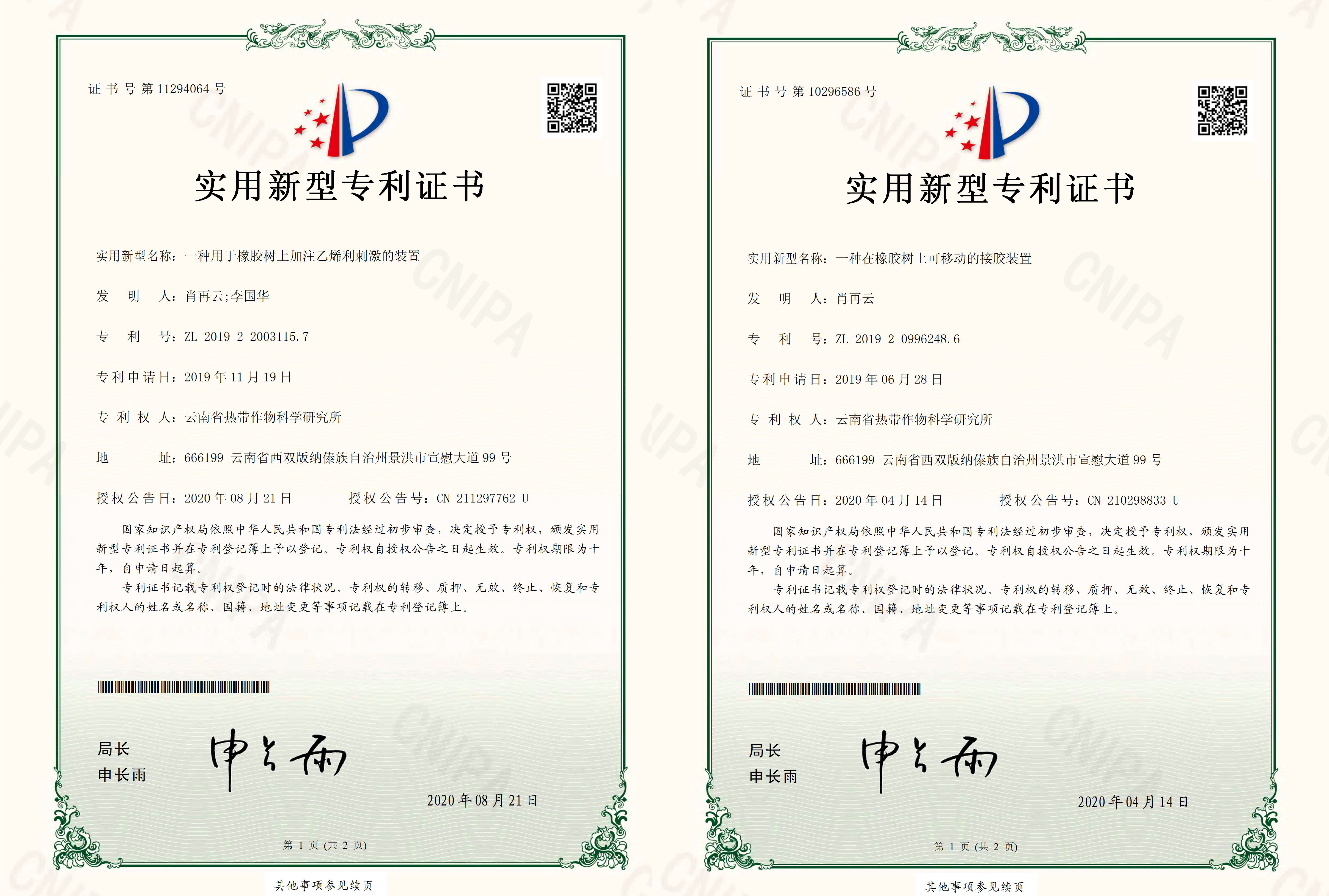 专利
