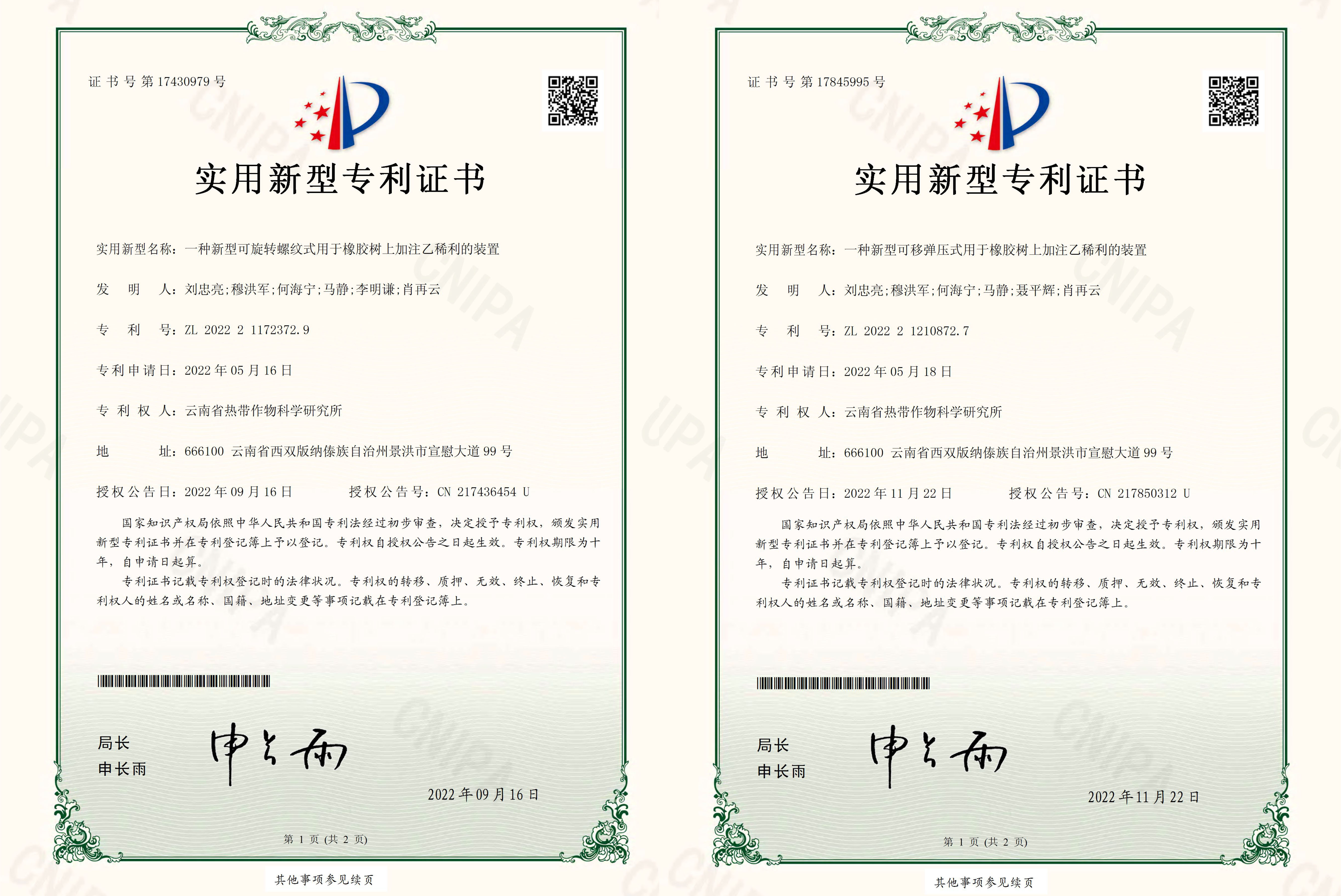 专利