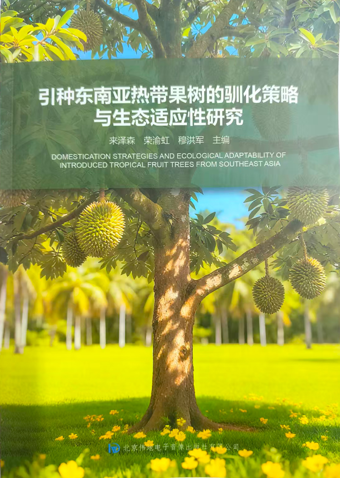 修改