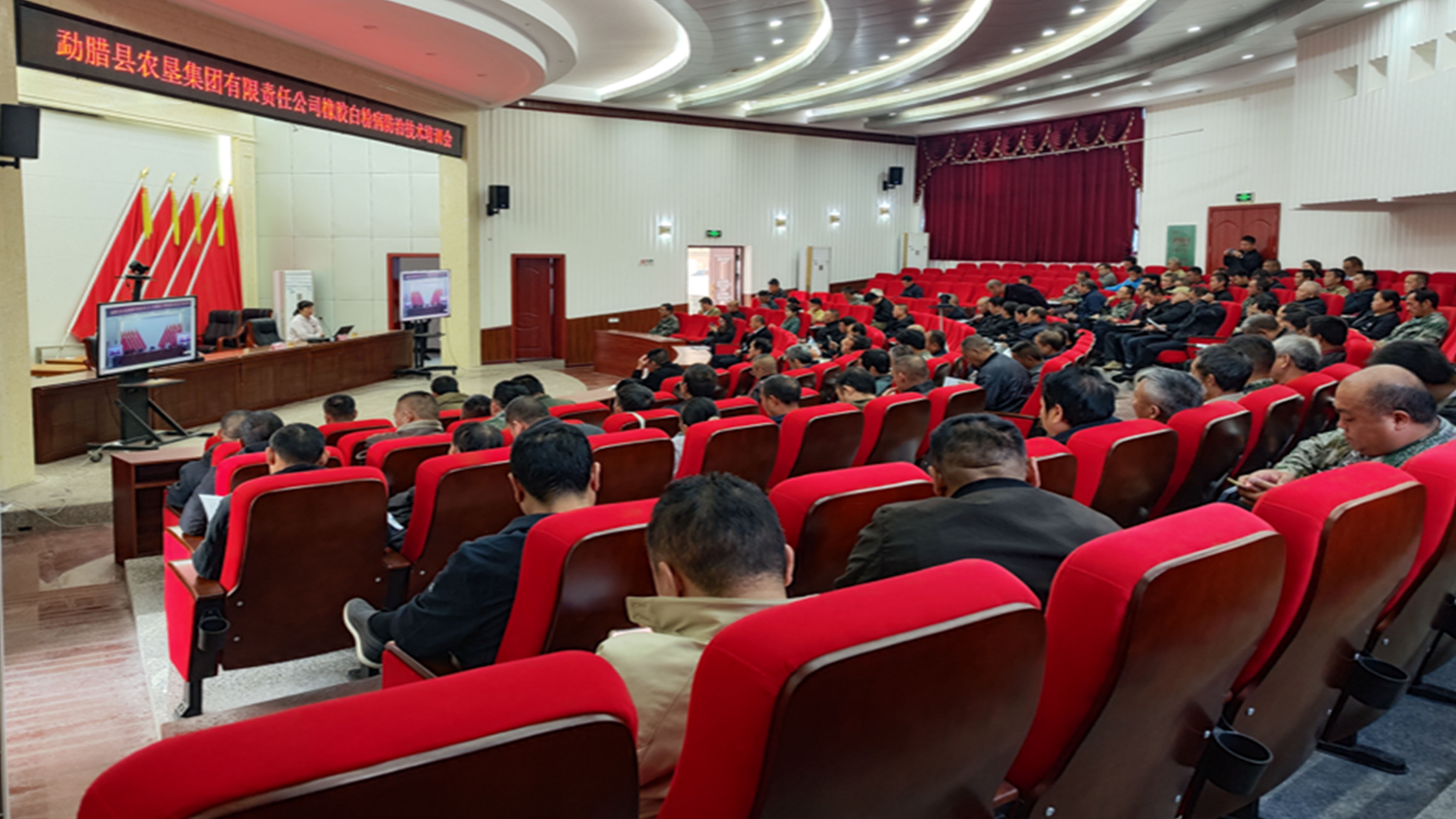 图片4