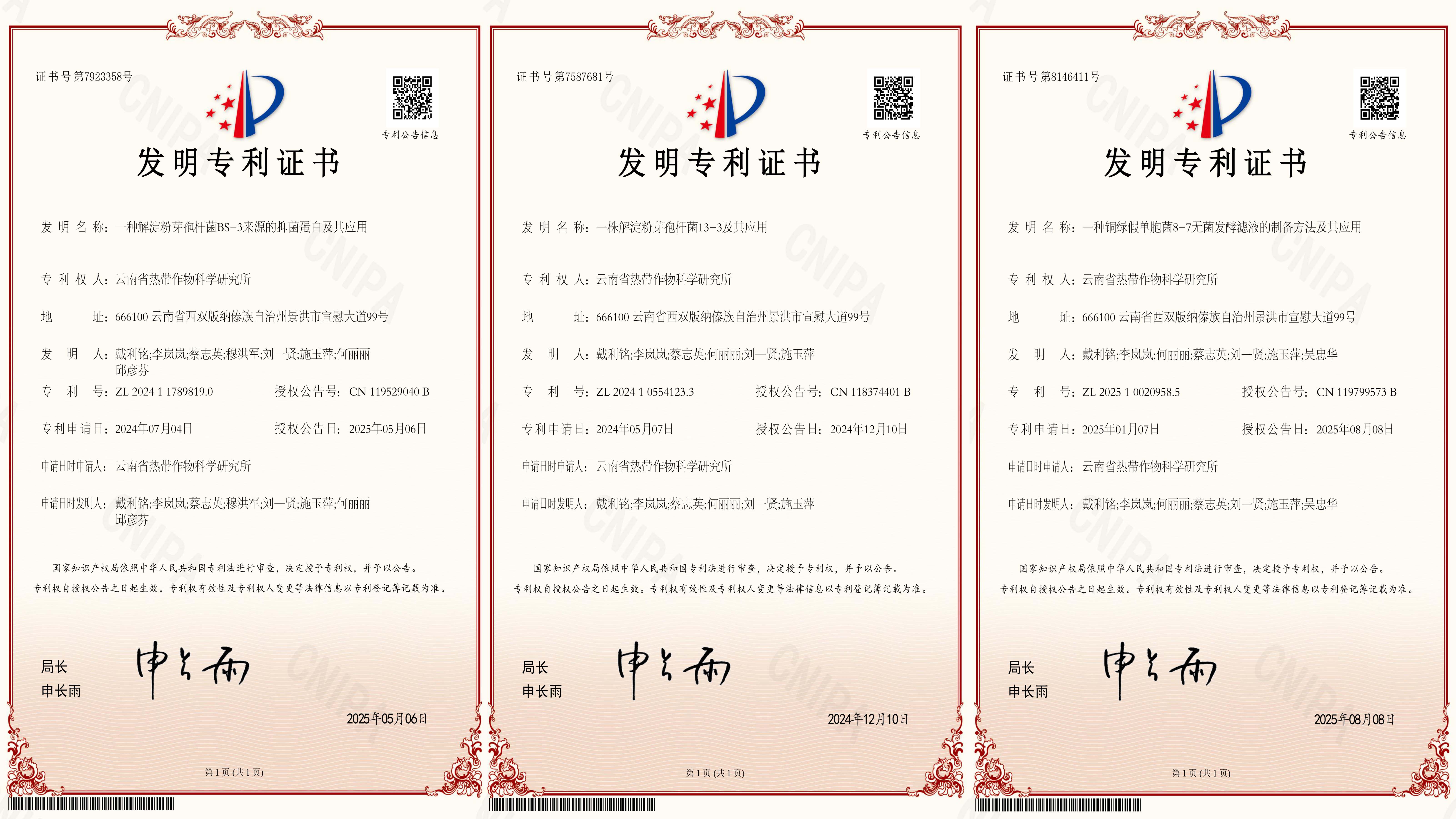 专利