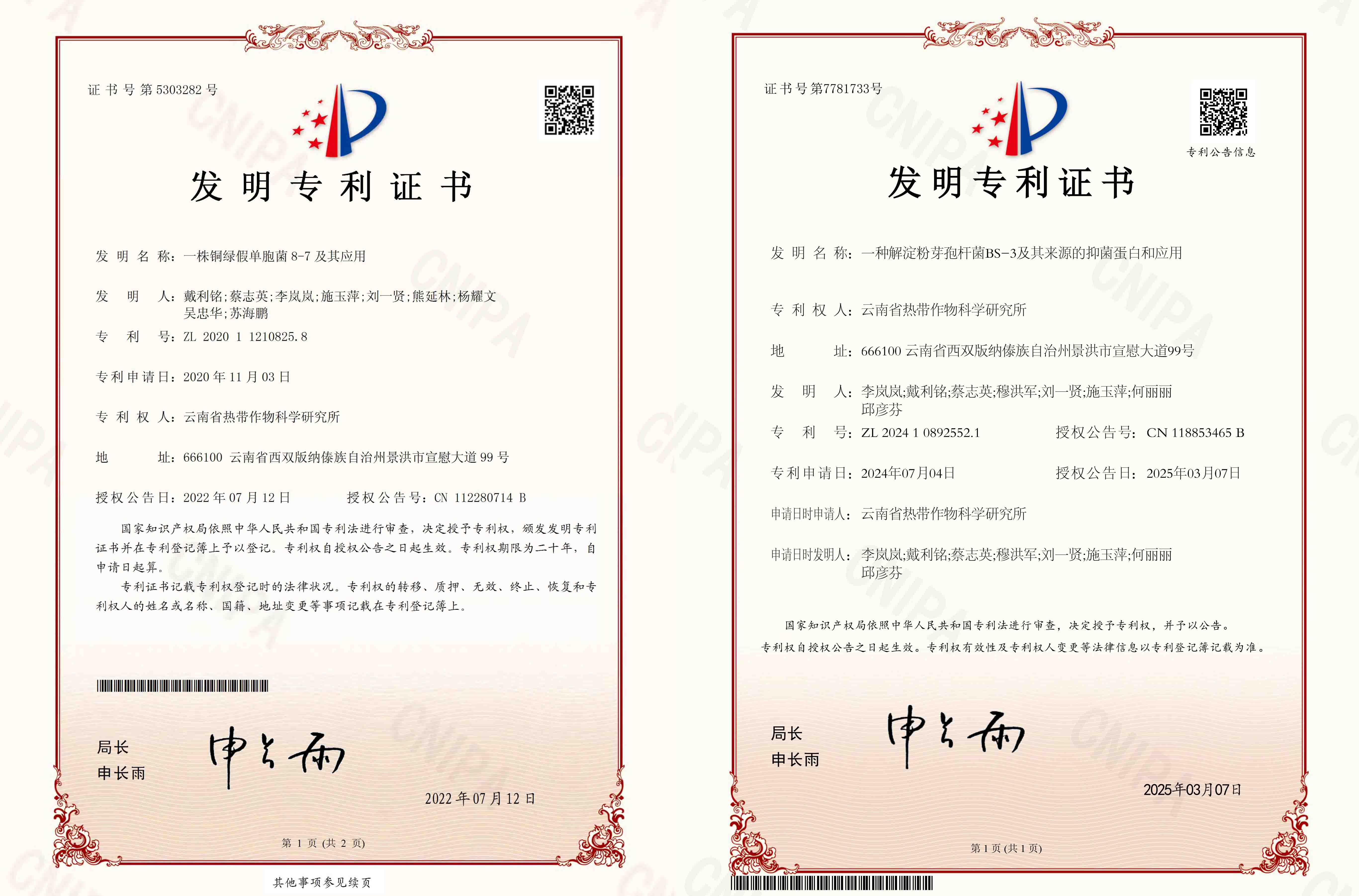 专利