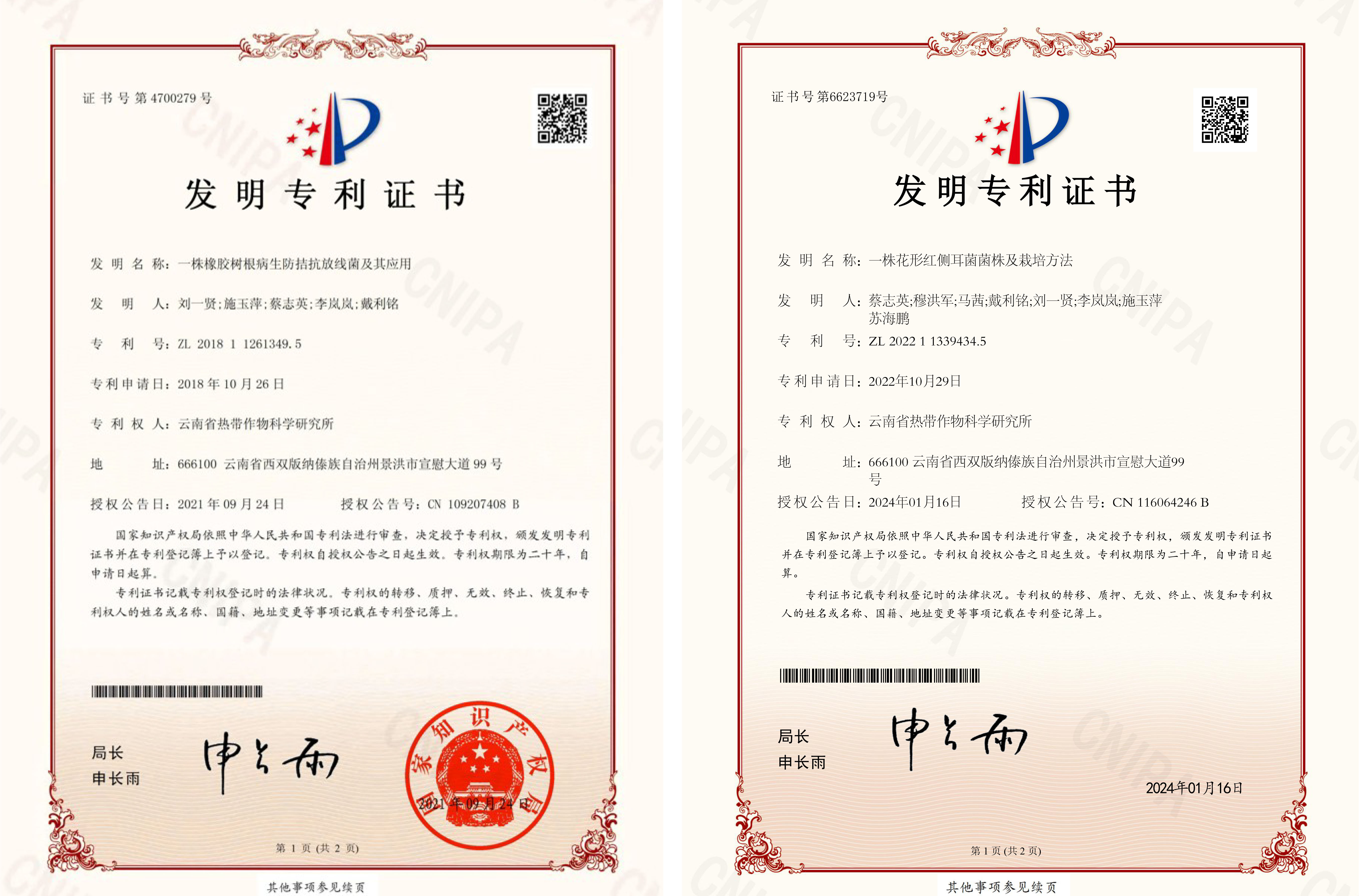 专利