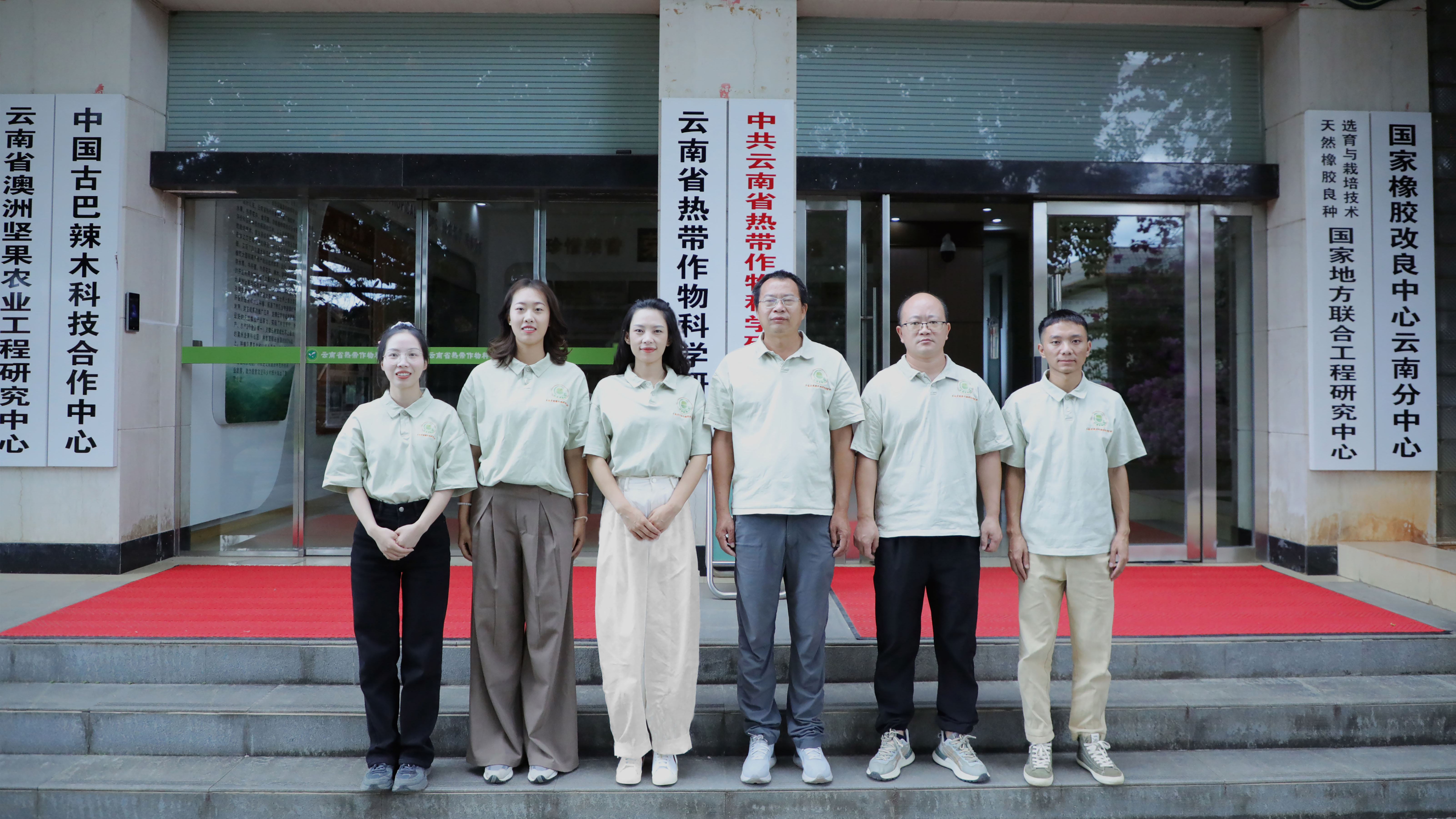合照-终