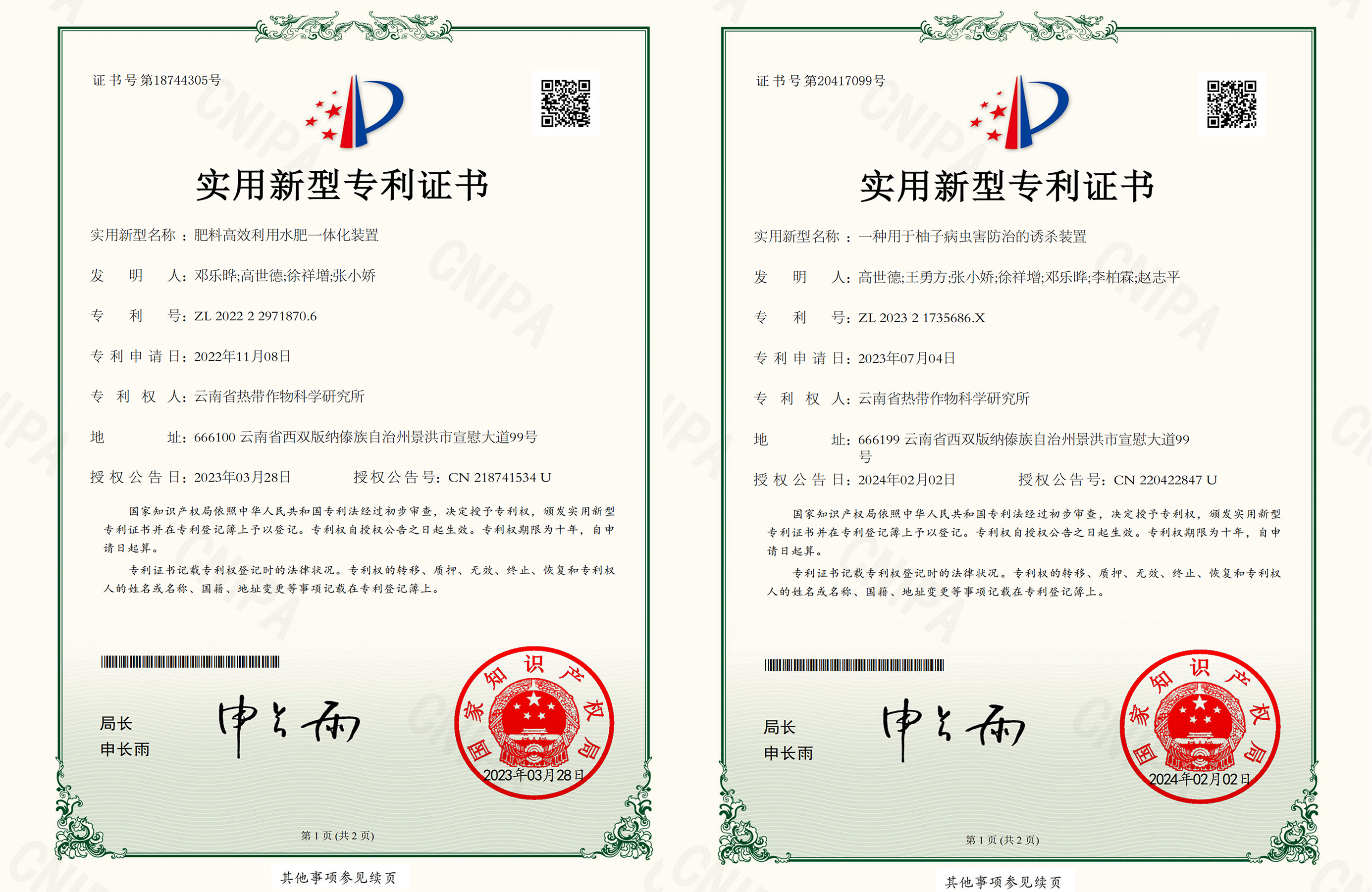 专利