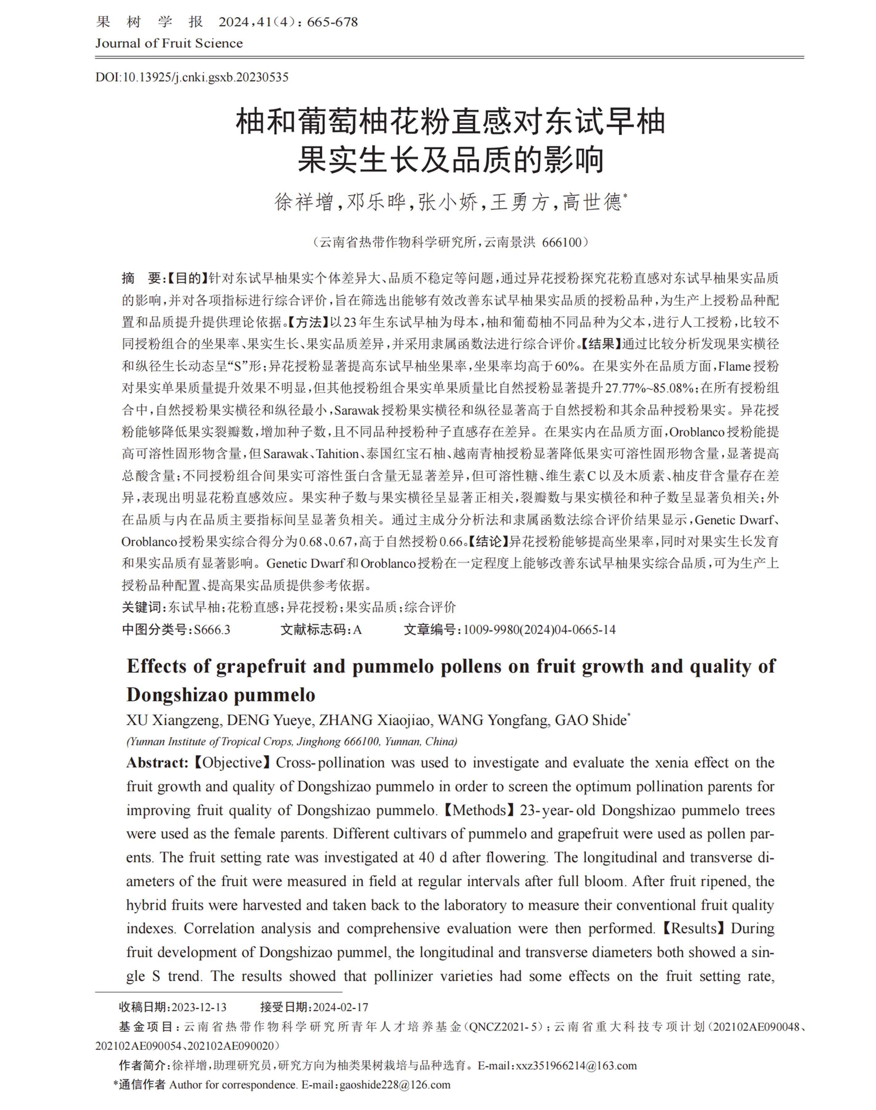 论文