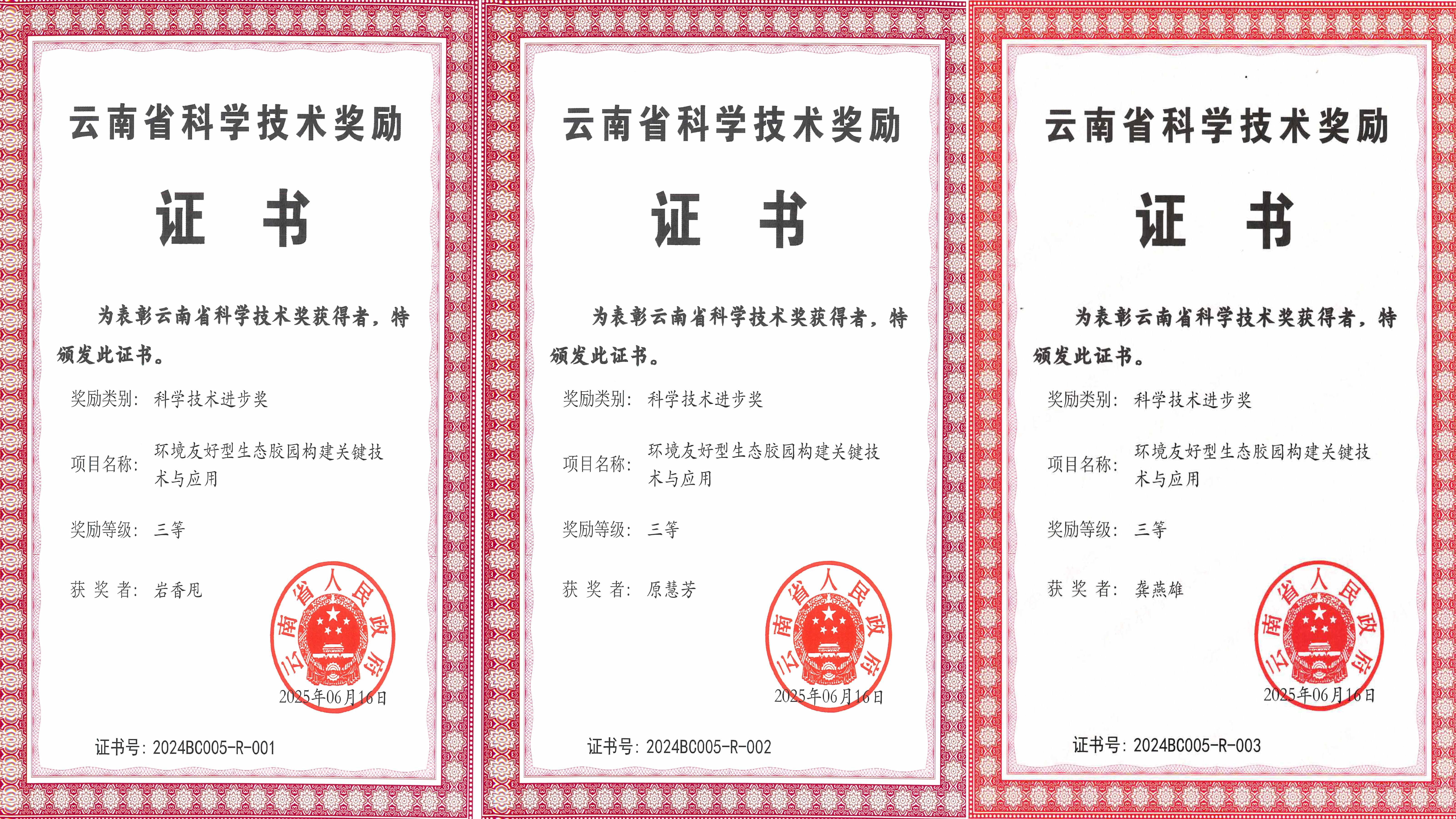获奖