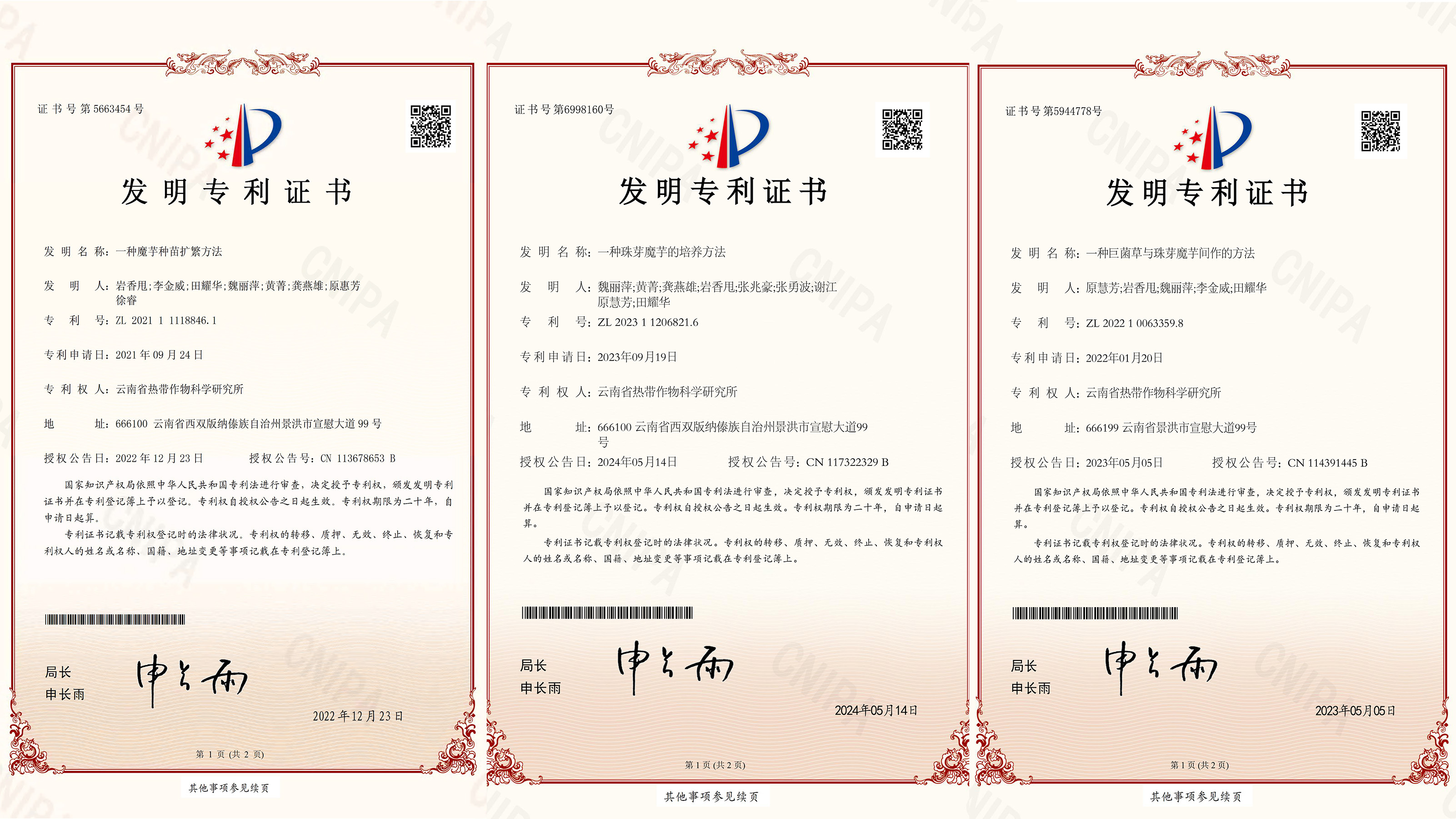 专利
