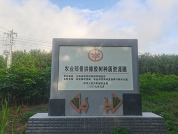 国家天然橡胶种质资源圃