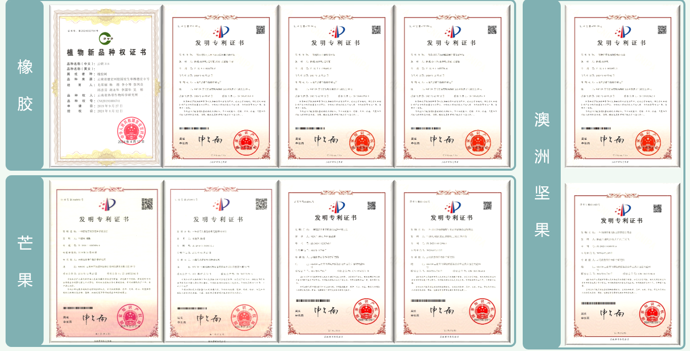 专利
