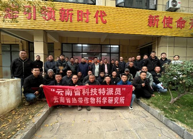 图片3